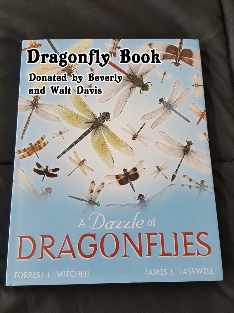 DragonflyBook